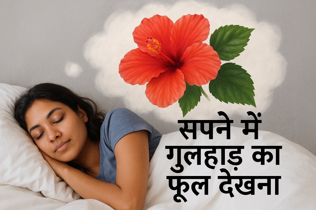 सपने में गुलहड़ का फूल देखना